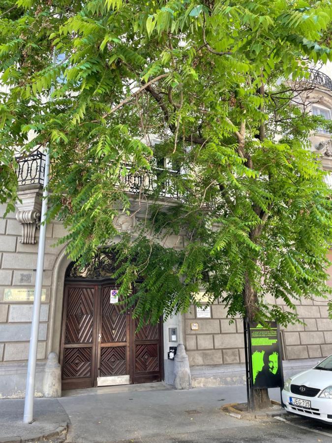 Buda Castle Apartment Budapest Eksteriør billede
